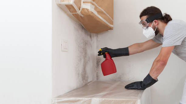 Professional Mold Remediation technician working in Alpine, NJ