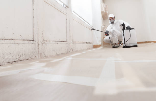 24/7 Emergency Mold Remediation experts in Alpine, NJ