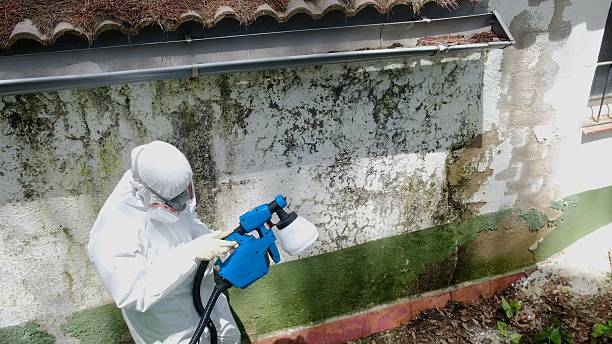 Top rated local Mold Remediation specialists in Alpine, NJ